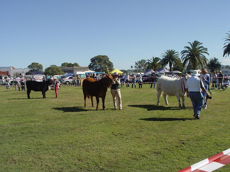 beef-week 071.jpg